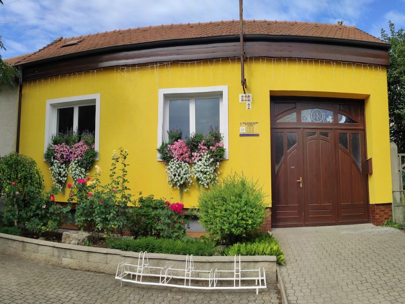 Ambulance Podivín Homeopatie